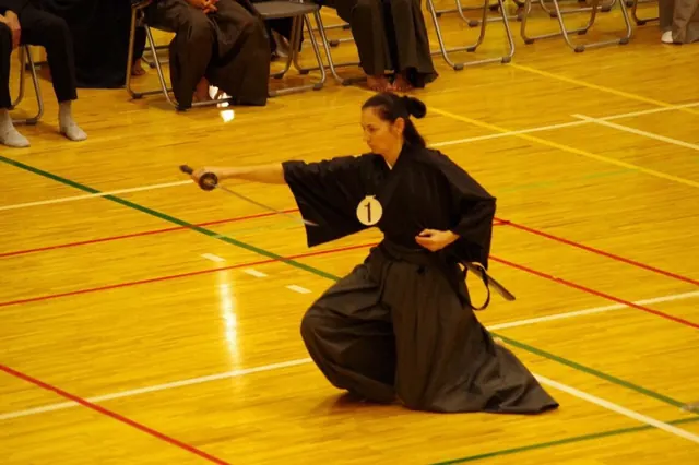 7-й Тайкай World MJER Iaido Federation в Токио (чемпионат мира по иайдо)