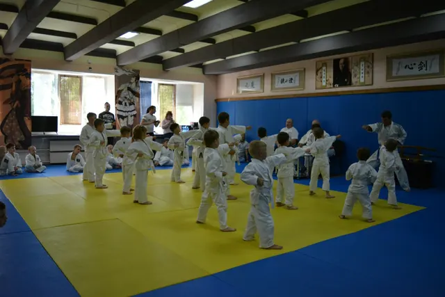 Итоговая аттестация NIHON JUJUTSU KODOKAN