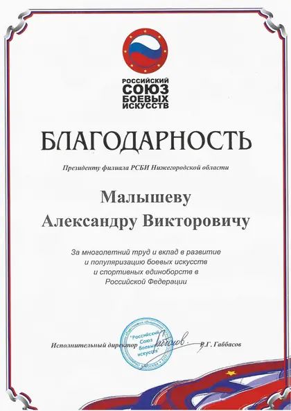 Благодарность Российского союза боевых искусств за многолетний труд